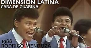 Dimensión Latina | Rodrigo Mendoza | Cara de guabina | 1988