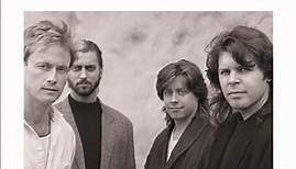 Mr. Mister - Playlist: The Very Best Of Mr. Mister
