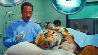 男人从小能和动物对话的超能力，长大成为医生，老虎都求他给治病