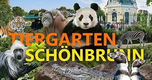 Tiergarten Schönbrunn (Wien) - Der älteste Zoo der Welt! | Zoo-Eindruck