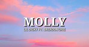 Lil Dicky - Molly (Lyrics) Ft. Brendon Urie