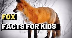 Foxes: Fascinating Facts about Foxes: A Fun and Educational Video for Kids