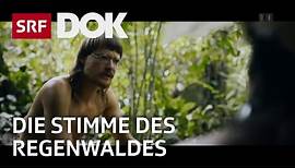 Kinovorführung für die Penan-Indianer auf Borneo | Umweltaktivist Bruno Manser | SRF Dok