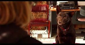 KOKO: A Red Dog Story | Official Trailer