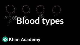 Blood types | Human anatomy and physiology | Health & Medicine | Khan Academy