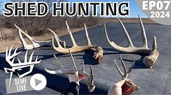 Shed Hunting Iowa