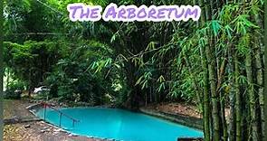 The Arboretum Chaguaramas | Trinidad | Tourist Attraction | Road Trip Adventures