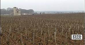 Una fiesta del vino en los pueblos de Borgoña en Francia • FRANCE 24 Español