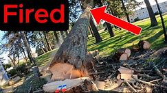 Massive Tree Crashes | Wrong Direction!