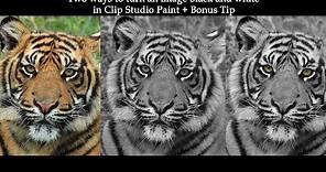 How to turn an image black and white – Clip Studio Paint Tutorial