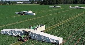 How American Farmers Harvest Thousands Of Tons Of Agricultural Products - American Farming