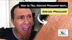 African Mahogany vs Genuine Mahogany Tone: 5 Ways to Identify