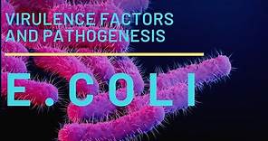 Escherichia coli or E .coli -- morphology, virulence factors and pathogenesis ----part 1