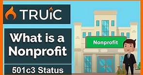 What is a Nonprofit Corporation - 501c3 Status
