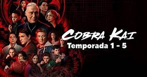 Cobra Kai (TODA LA SERIE): Resumen en 1 Video
