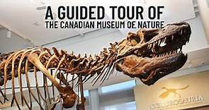 A Guided Tour of the Canadian Museum of Nature