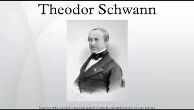 Theodor Schwann