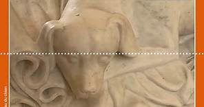 Mon Louvre par Antoine Compagnon | Le museau du chien