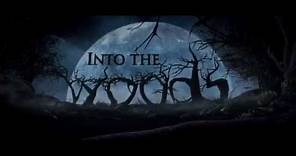 Into The Woods -- Teaser Trailer Ufficiale Italiano Sottotitolato | HD