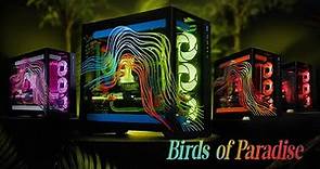 Introducing Birds of Paradise, our Intensely Colorful New Masterworks PCs