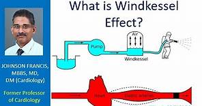 What is Windkessel effect?