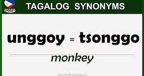 𝗧𝗮𝗴𝗮𝗹𝗼𝗴 𝗦𝗬𝗡𝗢𝗡𝗬𝗠𝗦 | Useful Tagalog Vocabulary Words | Basic Filipino Language Tutorial
