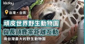 【台灣旅遊攻略】台南頑皮世界野生動物園，超療癒！與可愛長頸鹿零距離互動｜KKday