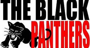 Who Were the Black Panthers? US History Review