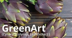 GreenArt (Cynara Scolymus Leaf Extract )