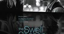 The Swell Season - película: Ver online en español