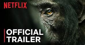Chimp Empire | Mahershala Ali | Official Trailer | Netflix