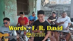 Words (Don't Come Easy) - EastSide Band Cover (F.R. David)