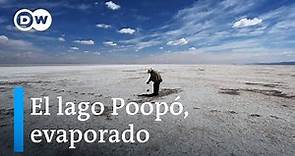 Los urus de Bolivia sufren la desaparición del lago Poopó
