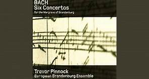 Brandenburg Concerto No. 1 in F Major, BWV 1046: I. [Allegro]