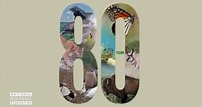 National Wildlife Federation celebrates 80 years!