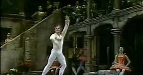 Mikhail Baryshnikov - Don Quijote - ABT 1983