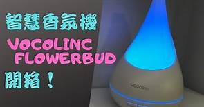 【智慧小物Ep1】VOCOlinc 智慧香氛機/智慧加濕器FlowerBud 開箱！連香氛機都能用語音助理聲控，還有彩光情境燈營造氣氛（支援HomeKit、Google助理）