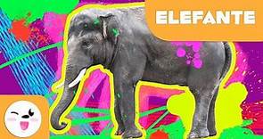 El elefante 🐘 Animales para niños 🌳 Episodio 5