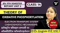 Oxidative Phosphorylation||Electron Transport System & Chemiosmotic mechanism||BSc 5th Sem. Unit 2