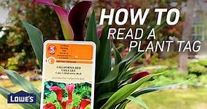 How to Read a Plant Tag for Planting Instructions | Lowe's
