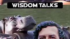 Removing Pablo Escobar's Hippos... - Wisdomtalks podcast