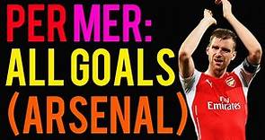 Per Mertesacker All Arsenal Goals