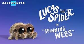 Lucas the Spider - Spinning Webs - Short