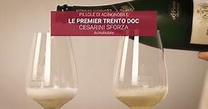 Trento DOC | Cesarini Sforza | Chardonnay