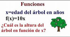 4.- Funciones- ¿Qué significa f(x)?
