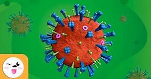 Cosa sono i virus? Scienza per bambini – Parti dei virus
