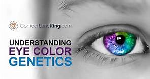 Eye Color Genetics | How Are Eye Colors Determined