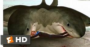 6-Headed Shark Attack (2018) - Ripped in Half Scene (3/10) | Movieclips