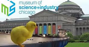 Museum of Science and Industry Chicago Tour & Review