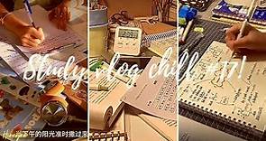 | Xiaohongshu_(小红书)_ 🍑🌷| #17 Tổng hợp những study vlog cực chill ☕ 📚 #xiaohongshu #study#vlog #asmr